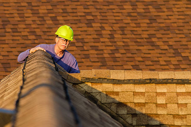 Best Roof Gutter Cleaning  in Nikiski, AK