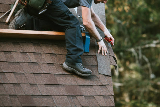 Best Roof Gutter Cleaning  in Nikiski, AK